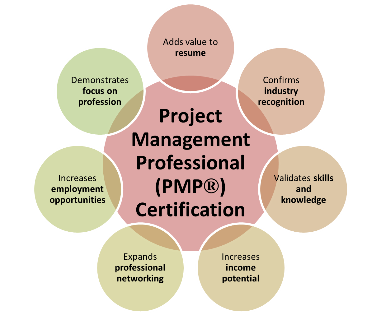 Is PMP Worth It? Benefits from Earning a PMP Certification